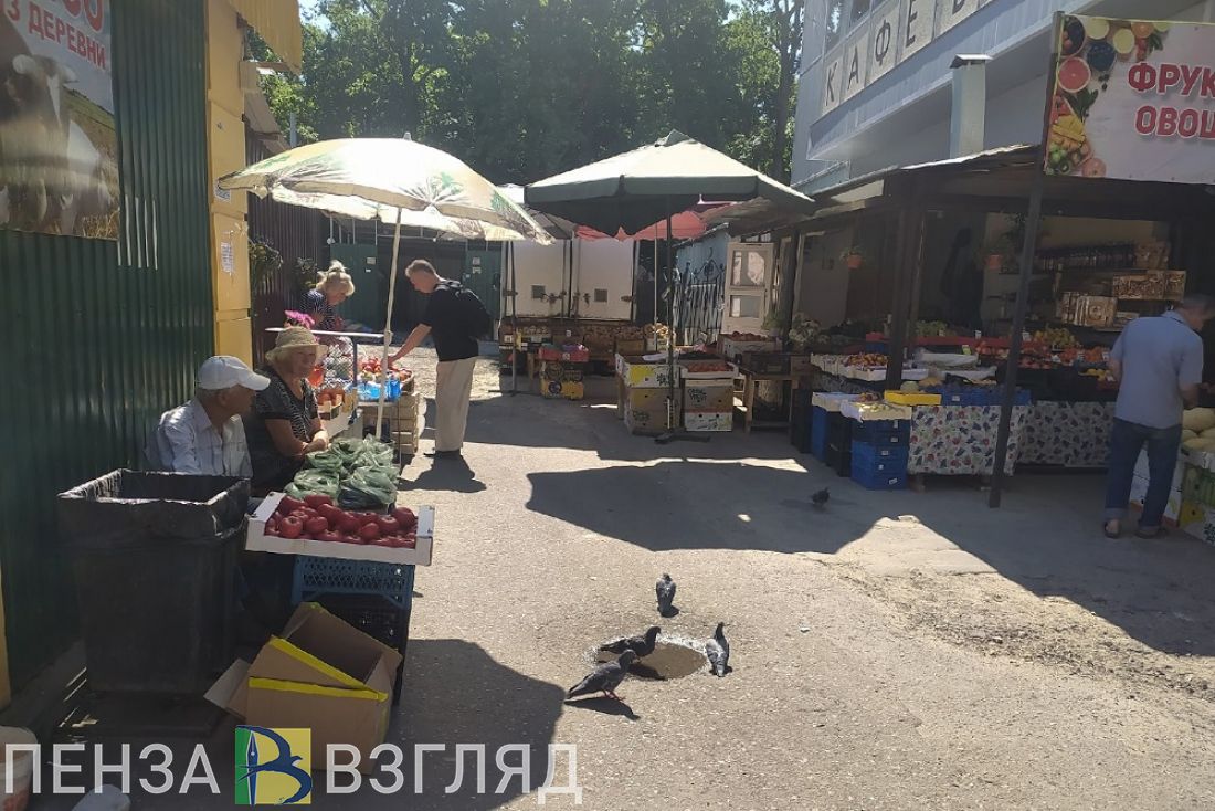 В Пензенской области пройдет выборочное наблюдение состояния здоровья  населения