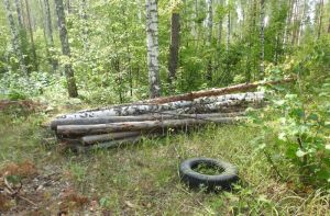 В Пензенской области за неделю выявили 9 нарушений лесного законодательства
