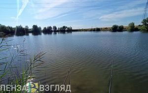 В Бековском районе рыбак умер от удара током
