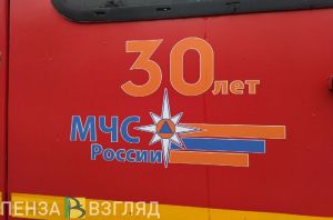 В МЧС рассказали подробности смертельного пожара на Пролетарской улице в Пензе