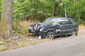 В лесу под Пензой обнаружили разбитый и брошенный автомобиль