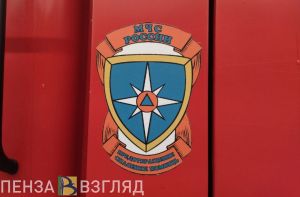 Опубликовано видео с загоревшейся под Пензой «ГАЗелью»