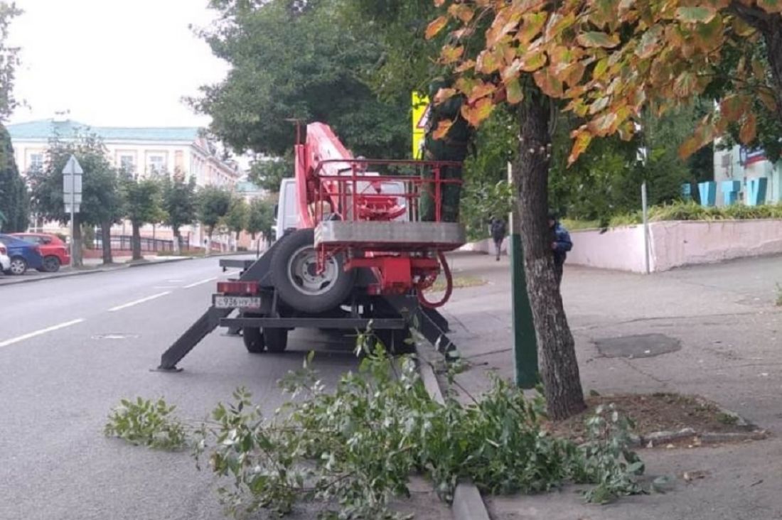 В Пензе борются с зарослями, чтобы было лучше видно дорожные знаки