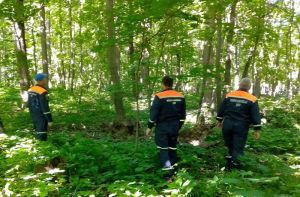 Пензенские спасатели нашли пропавшую женщину