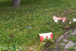 Пензенцам пообещали призы за наибольшее количество собранного мусора