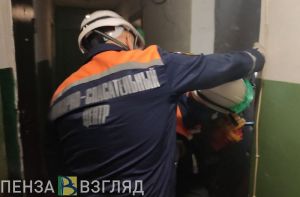 Пензенские спасатели обеспечили доступ врачей к пациентке
