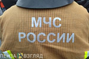 В МЧС рассказали о ночном пожаре на улице Чехова в Пензе