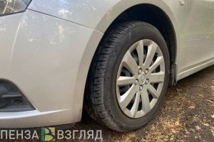 В Пензенской области водитель отбудет трое суток ареста за неснятую тонировку