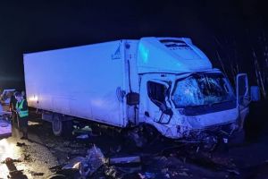 МЧС сообщило о жуткой ночной аварии с пострадавшими на трассе «Урал» в Пензенской области
