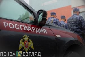 В Пензе росгвардейцы задержали мужчину, повредившего дорогой автомобиль