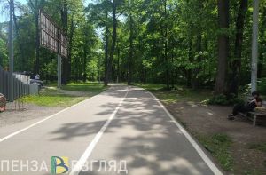 Пензенцам предлагают пройти 10 тысяч шагов
