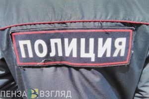 В Пензе после ограбления на улице Карпинского ищут второго подозреваемого