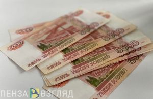 Названа категория пензенцев, которая должна уплатить страховой взнос до 31 декабря