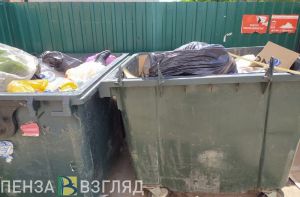 С вмешательством прокуратуры в Пензе устранили несанкционированные свалки
