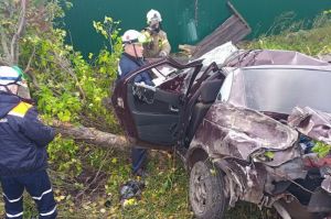 Появились фото с места жесткого ДТП под Пензой, где зажало водителя