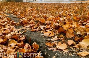 Воскресный день порадует пензенцев теплой погодой