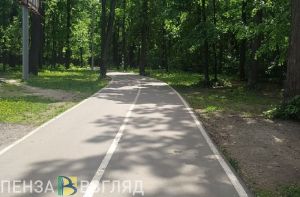 В Пензенской области более 200 атлетов приняли участие в областном фестивале