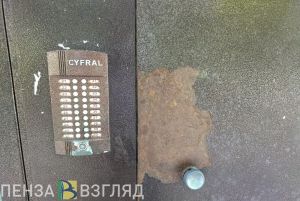 Пензячка узнала о краже из своей квартиры по записям с камеры видеонаблюдения