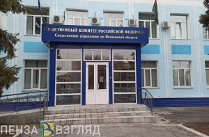 В Пензенской области проводится проверка по факту гибели женщины во время пожара