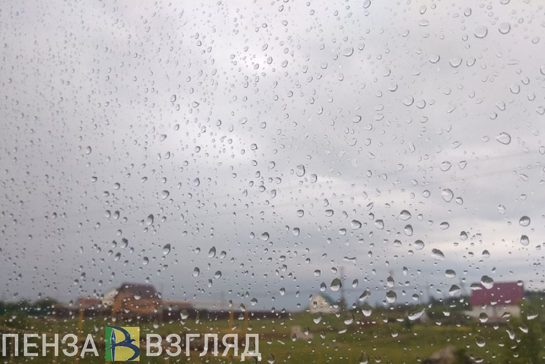 Пензенцам в среду вновь прогнозируют дождь