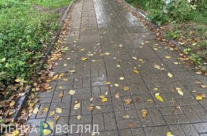 В четверг жителям Пензенской области обещают небольшой дождь