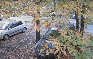 Момент ДТП со сбитой автомобилем пензячкой попал на видео
