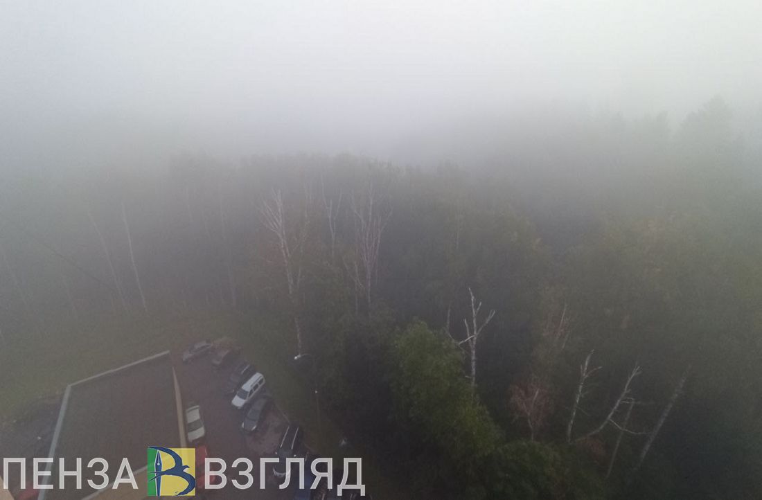 Из-за тумана пензенских водителей просят быть внимательнее на дороге