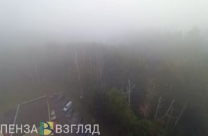 Из-за тумана пензенских водителей просят быть внимательнее на дороге