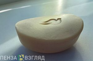 Пензенцам рассказали, обеспечивают ли мобилизованных средствами личной гигиены