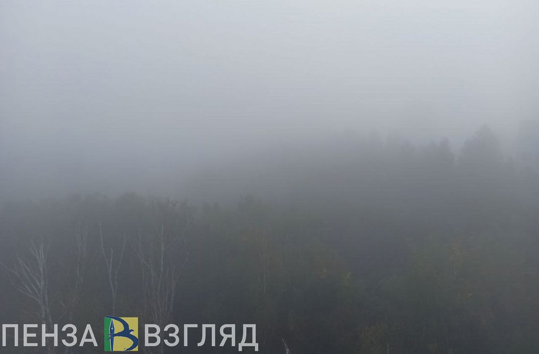 Туман с видимостью 500 метров накроет Пензенскую область 15 октября
