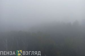 Туман с видимостью 500 метров накроет Пензенскую область 15 октября