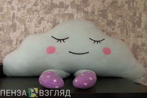 Для пензенских родителей организована адресная консультативная поддержка