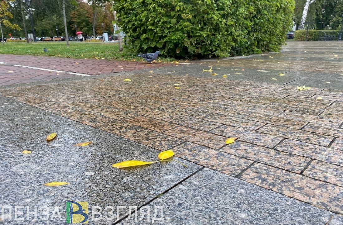 18 октября в Пензенской области ожидается небольшой дождь