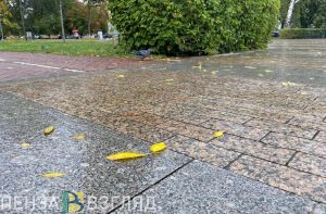 18 октября в Пензенской области ожидается небольшой дождь