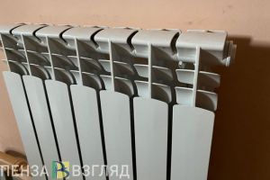 Семьям мобилизованных пензенцев помогут с оплатой услуг ЖКХ