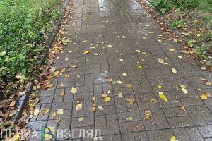 В среду в Пензенской области ожидается сильный дождь