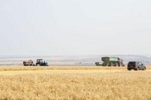 Из-за гибели сельхозкультур в Пензенской области ввели режим ЧС