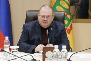 Мельниченко написал о халатном отношении некоторых пензенских чиновников к своим обязанностям
