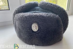 Мобилизованные пензенцы подлежат государственному личному страхованию