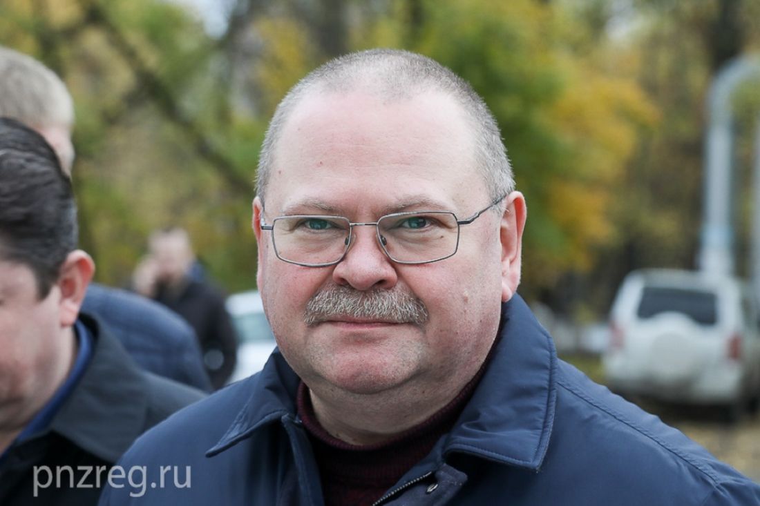 Пензенский губернатор утвердил порядок постинтернатного сопровождения детей-сирот
