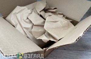 До 10 лет тюрьмы грозит жителю Каменки за хранение наркотиков