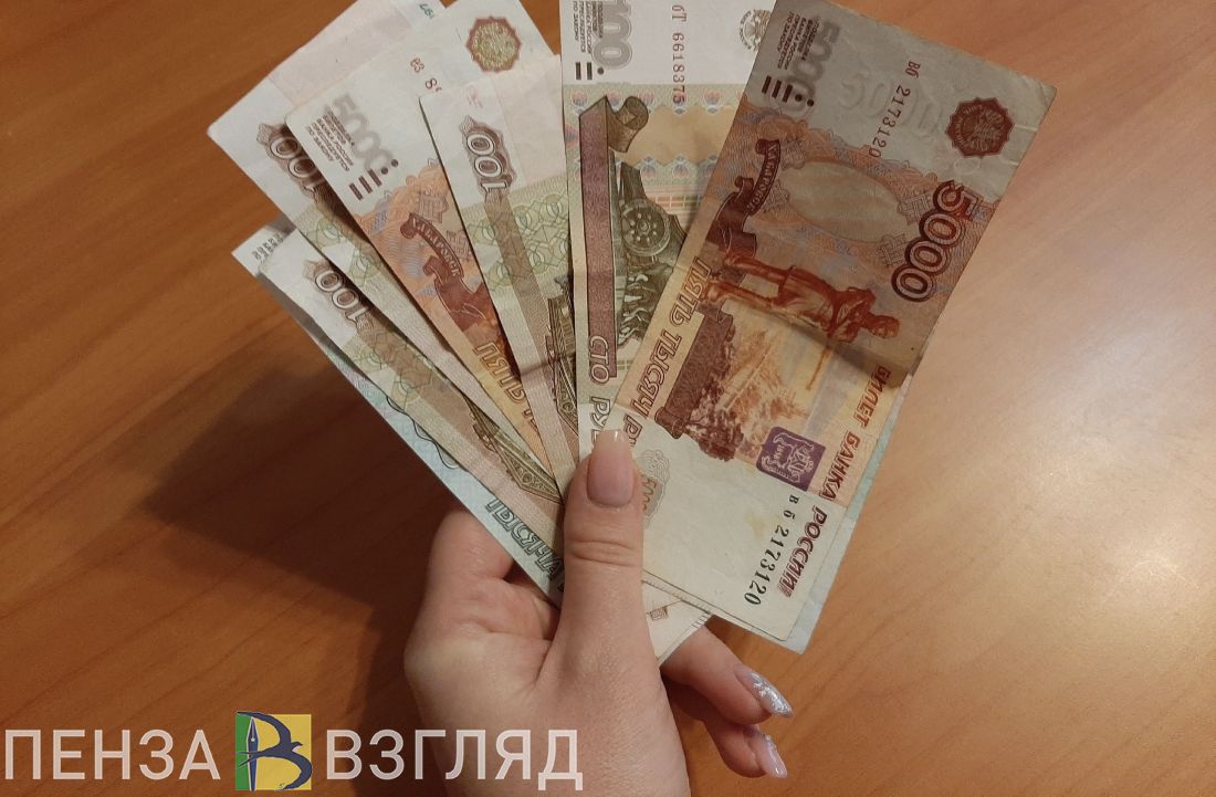 Пензенцам рассказали, как можно потратить маткапитал на обучение детей