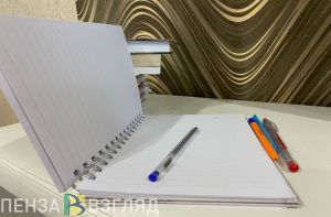 Пензенцам ответили, что нужно, чтобы подтвердить наличие на иждивении детей