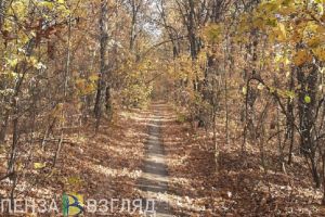 Во вторник в Пензенской области будет прохладно и дождливо
