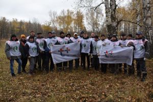 Сотрудники «Т Плюс» высадили 50 тысяч деревьев в 20 городах