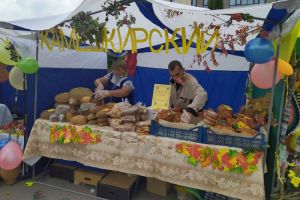 Пензенцев пригласили за качественными продуктами по доступным ценам