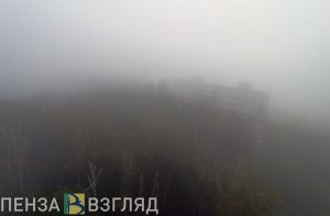 Сильный туман опустится на Пензенскую область 26 октября