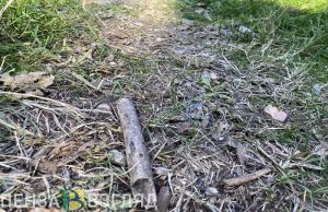 В Бессоновке после жалоб жителей на едкий запах повторно проведут исследования проб воздуха и почвы