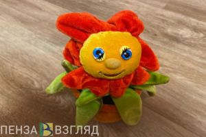 В Пензе пройдут «Беременные посиделки»