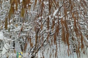В субботу в Пензенской области вновь обещают снег